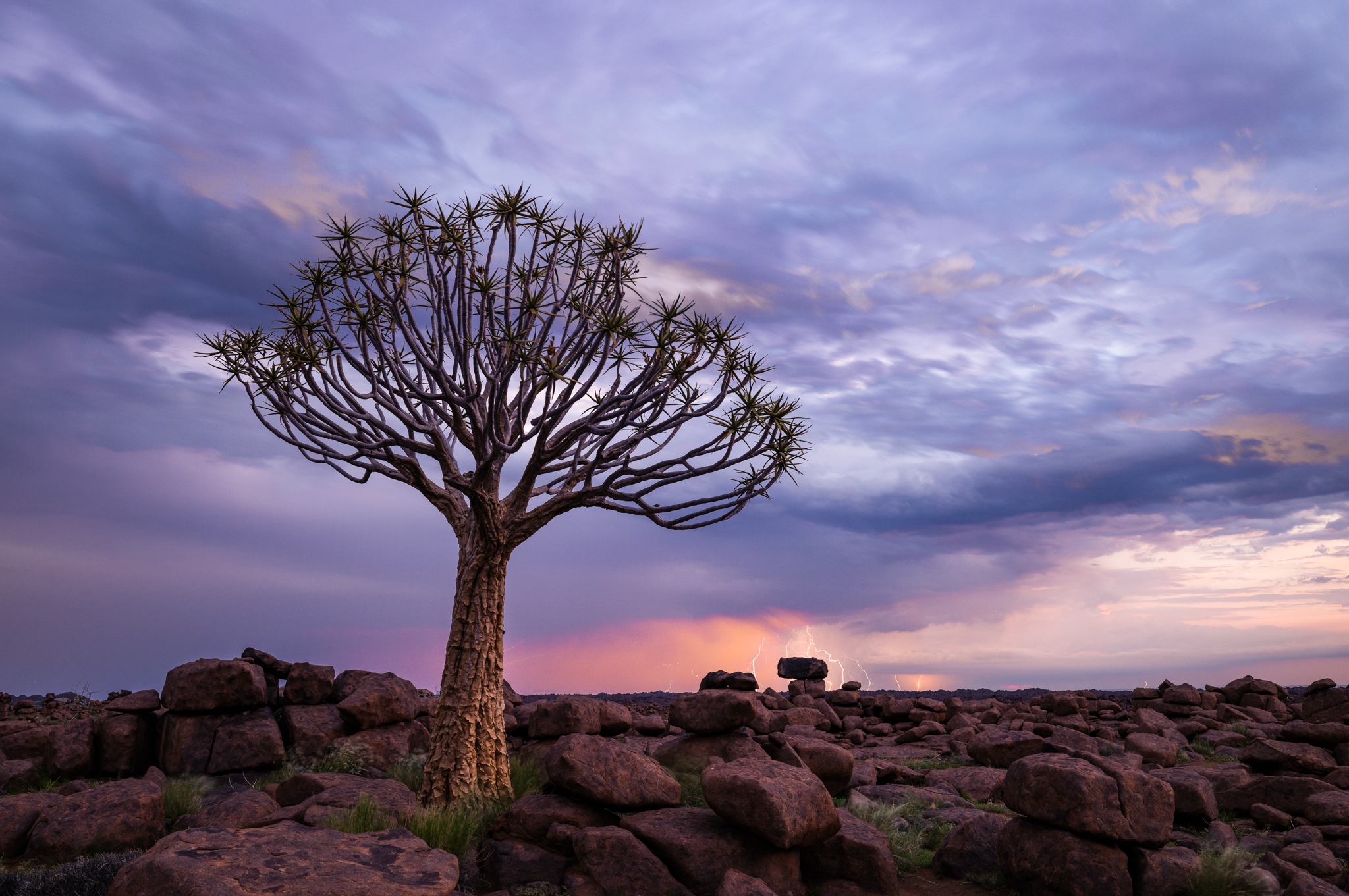 NAMIBIAN PHOTOGRAPHY BY KIM STEVENS OF LIMELIGHT PHOTO