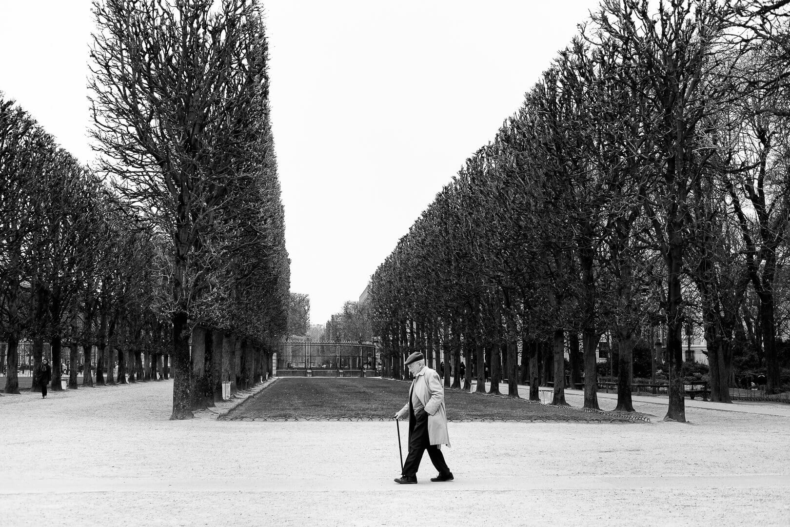 wildlife photography by Kim Stevens of Limelight Photo