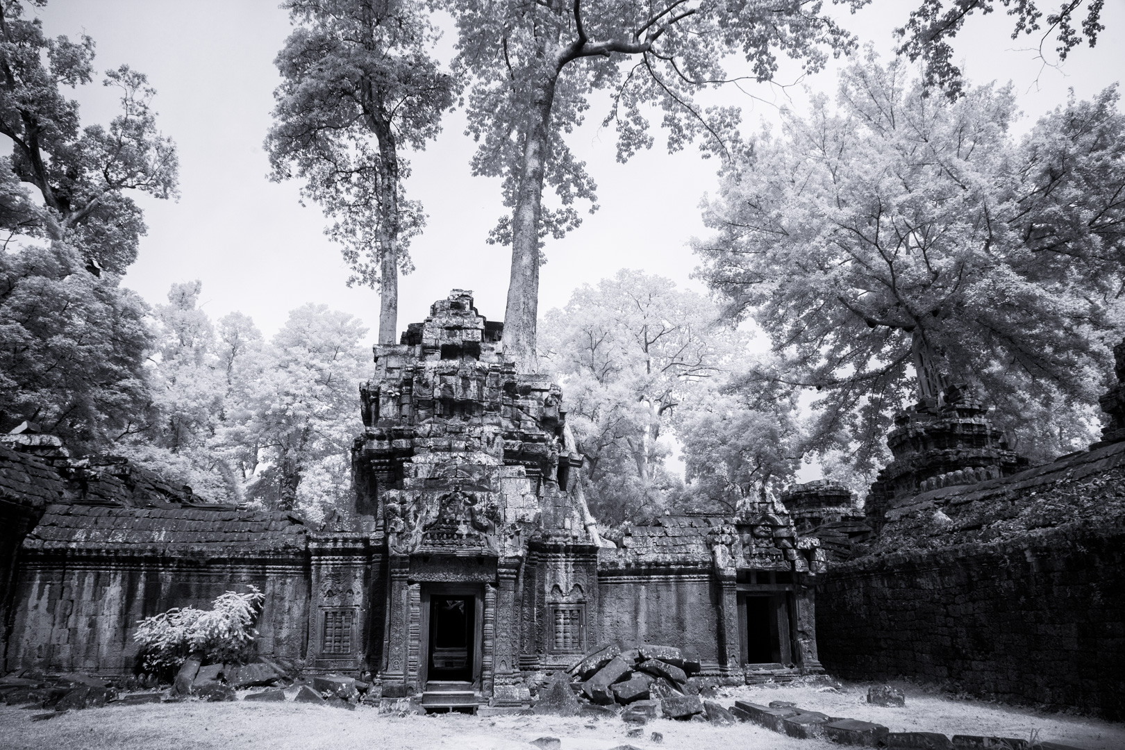 Contact Kim Stevens of Lime Light Photography